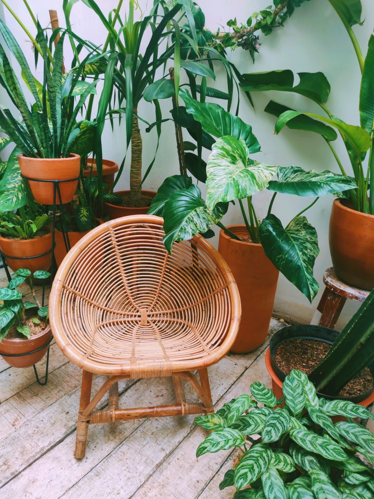 jardin interieur