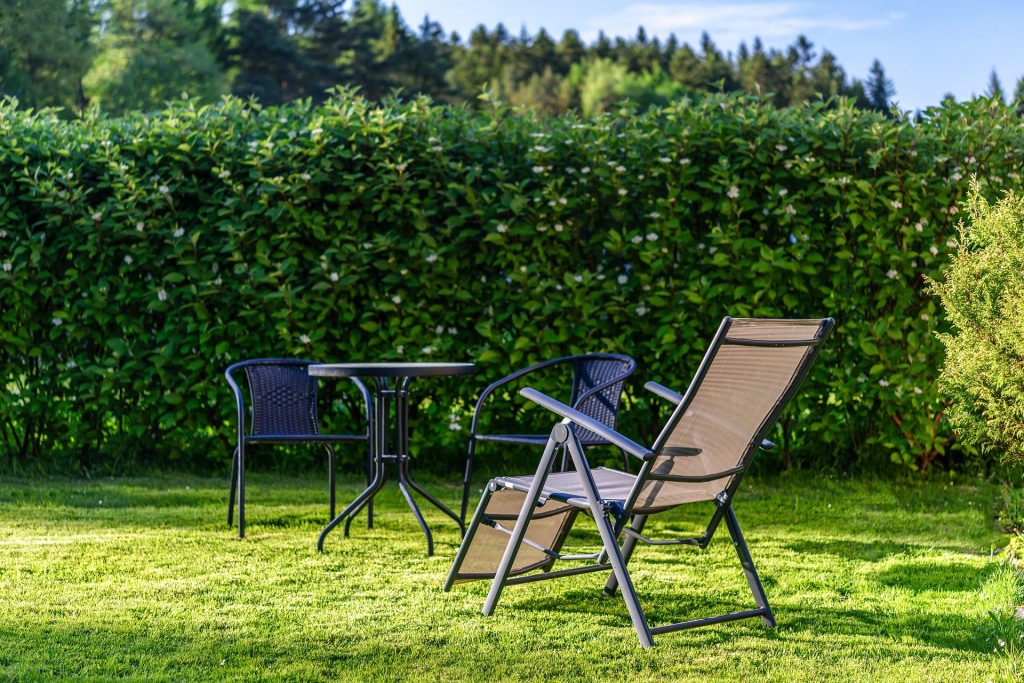 salon jardin pelouse